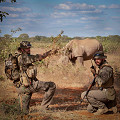 111330-125-11