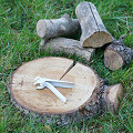 311008-16-1